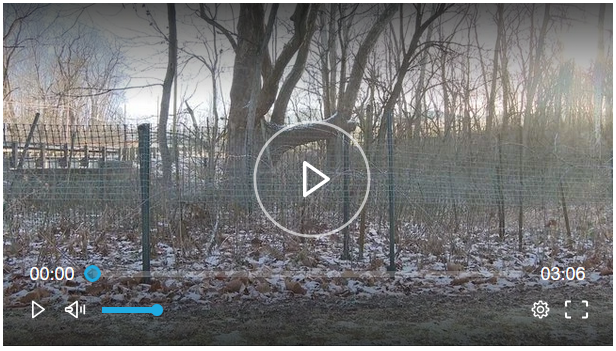 WKRC news story on the tree, including Arbor Doctor Ron Rothhaas.